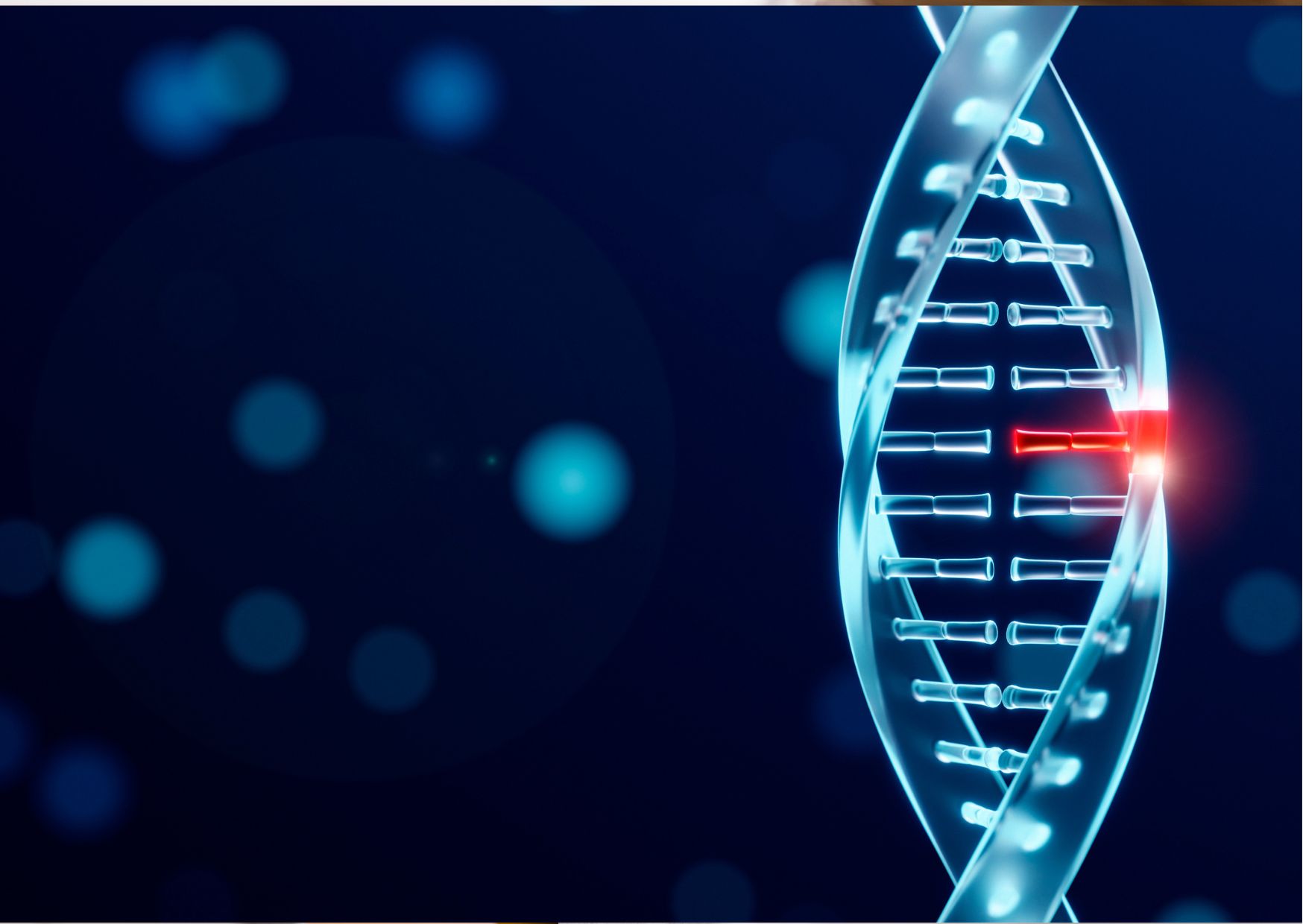 El ADN y su importancia en la odontología 