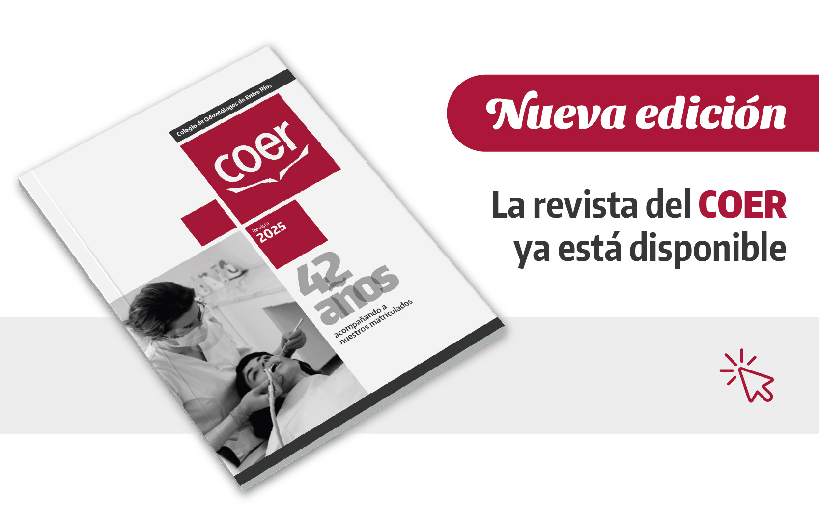Revista COER 2025