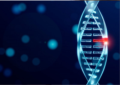 El ADN y su importancia en la odontología 